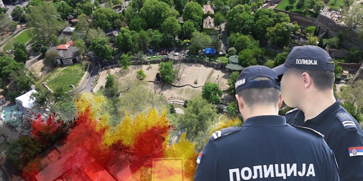 KRVAVA SVADBA NA KALEMEGDANU! Nemica čašom udarila sunarodnika, reagovala policija