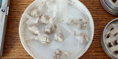 Muškarac  N. Ć. (36) iz Srbobrana i A. Š. (21) iz okoline Zrenjanina, uhapšeni su kada je policija u Zrenjaninu kod njih pronašla drogu.