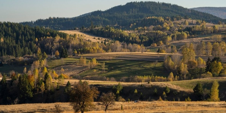 Golija je divlja i neobuzdana planina! Srpska lepotica je skriveni dragulj za sve ljubitelje prirode