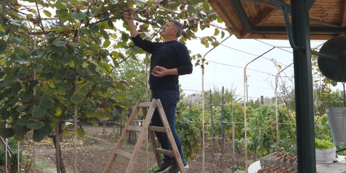 Slaviša se iznenadio: Polomile se grane od roda!