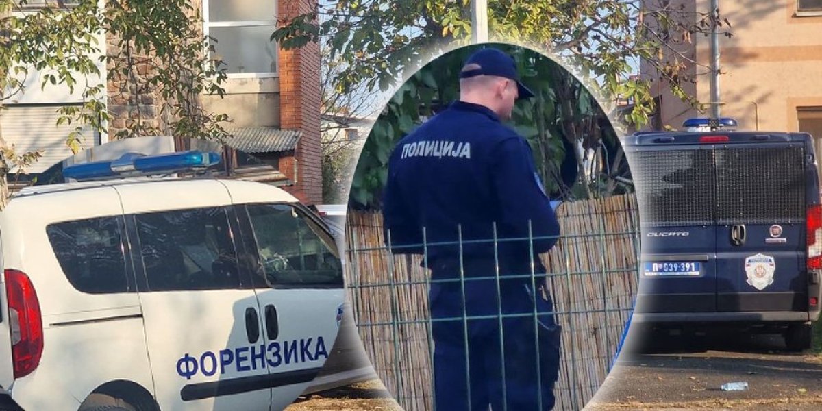 Majci odrubio glavu pa spomenuo đavola! Policiji rekao ove reči prilikom hapšenja (FOTO/VIDEO)