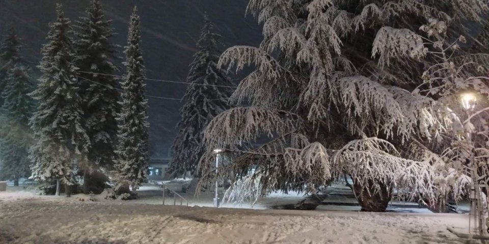 Zbog snega ostala zarobljena u kolima! Žena kod Leskovca celu noć čekala pomoć i rukama sklanjala drveće