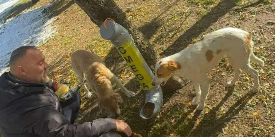 Paraćinci ovako rešavaju problem sa psima na ulici! Postavljena prva hranilica u centru grada