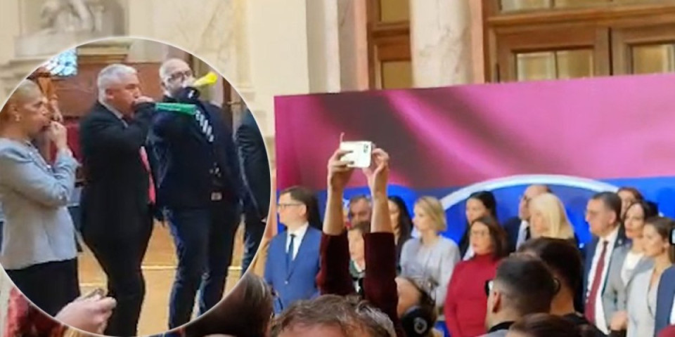 Žuti banditi pravili  haos i u holu Skupštine! Vuvuzele i pištaljke tokom obraćanja Ane Brnabić! (VIDEO)