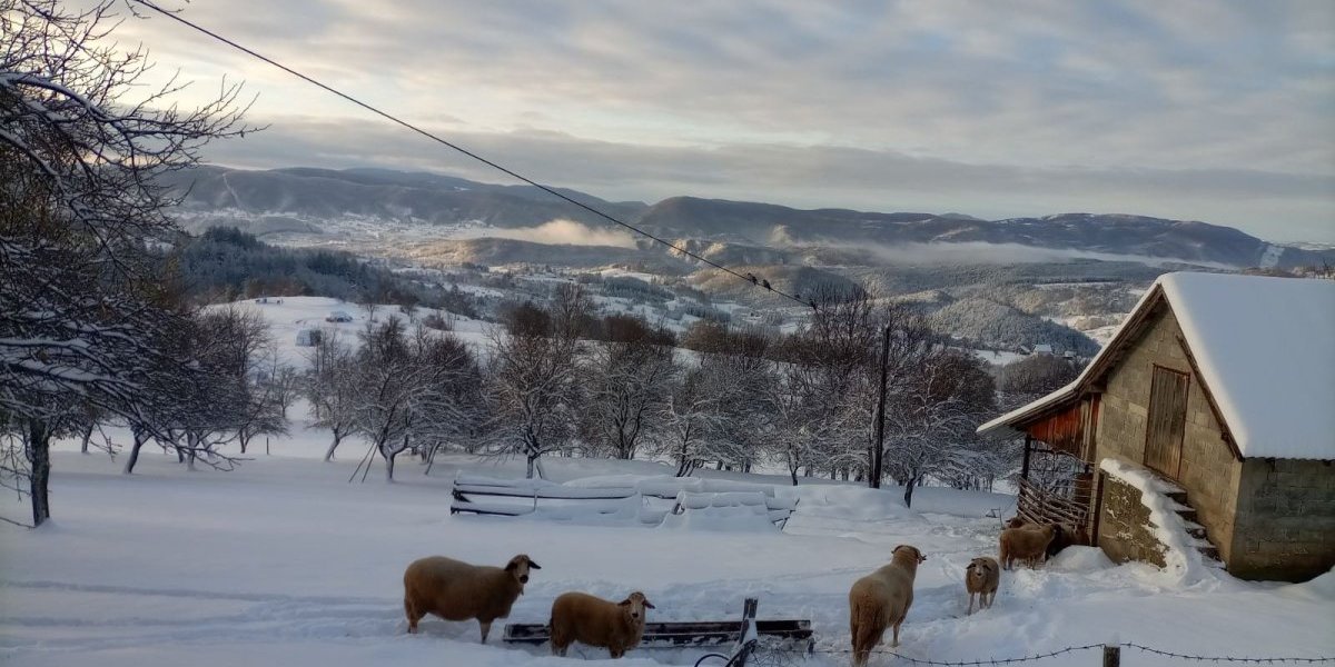 Ovde je sneg već pola metra! Pola opštine bez struje!