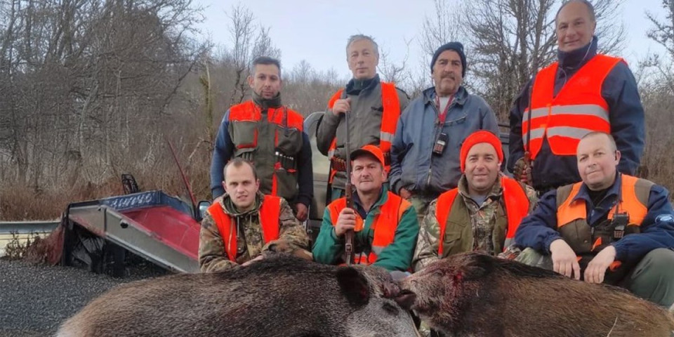 Teror! Dve divlje svinje pustošile sela iznad Vranja! Lovci ih zaustavili!