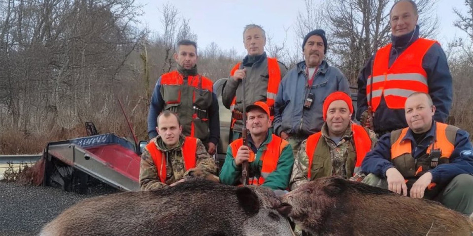 Teror! Divlje svinje pustoše sela iznad Vranja! I lovci se čudili kolike su