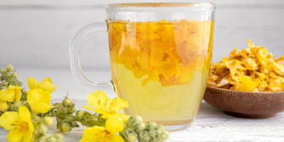 Divizma je biljka koja je posebno korisna za zdravlje disajnog sistema.