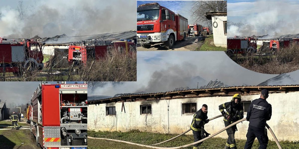 Prve slike požara na farmi pilića u Čačku! Gori čitav krov, vatra zahvatila halu od oko 1.000 kvadratnih metara (FOTO)