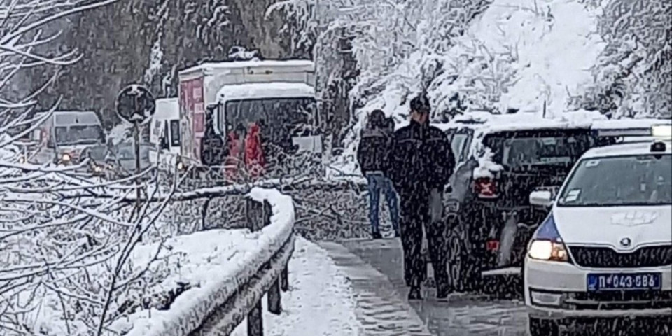 Stablo na putu napravilo lom kod Nove Varoši! Policijska ekipa intervenisala (FOTO)