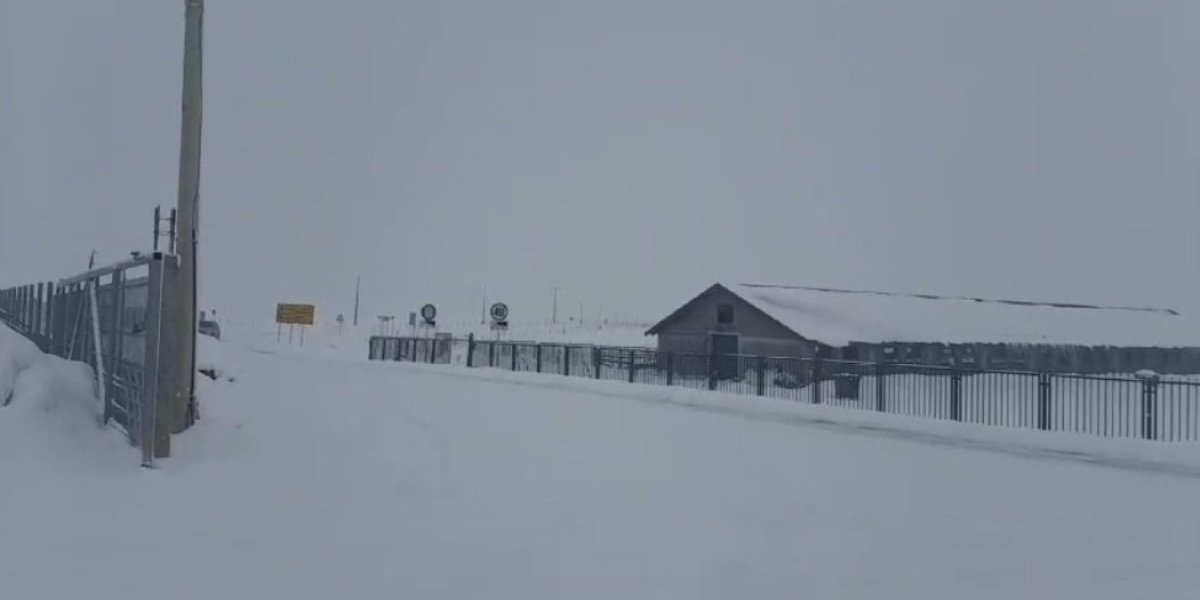 Ovde je danas ledeno! Najhladnije jutro ove godine! Izmereno -15!