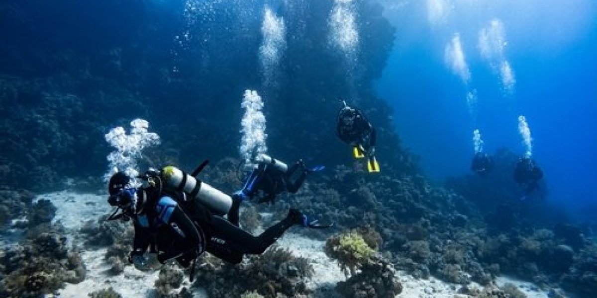 U Jadranskom moru pronađeno neobično biće! Isplivalo nadomak popularnog letovališta Srba: Niko ne zna o čemu se radi (VIDEO)