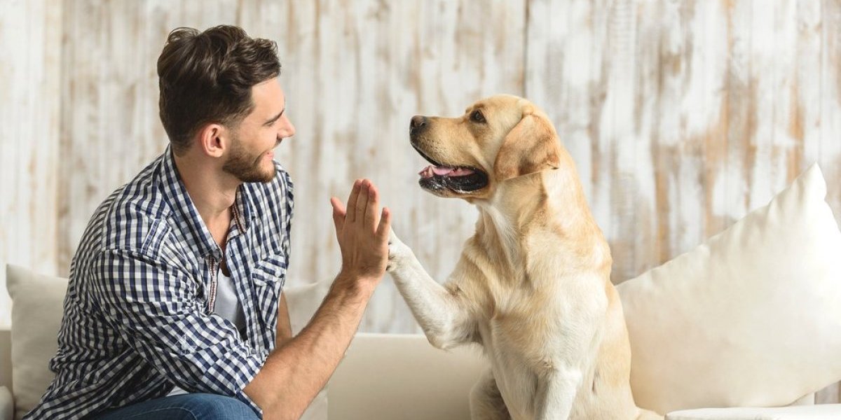 Da li pas često stavlja šapu na vas? Veterinarka otkrila šta ljubimac time želi da vam poruči