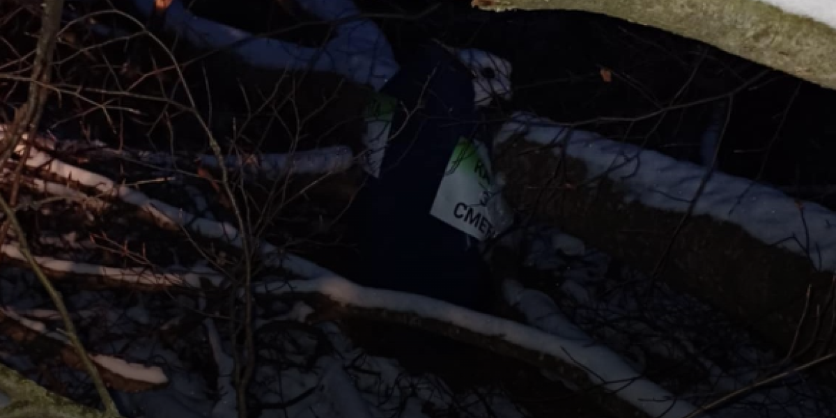 Vandalizam! Posekli drvo staro 150 godina da obore kameru!