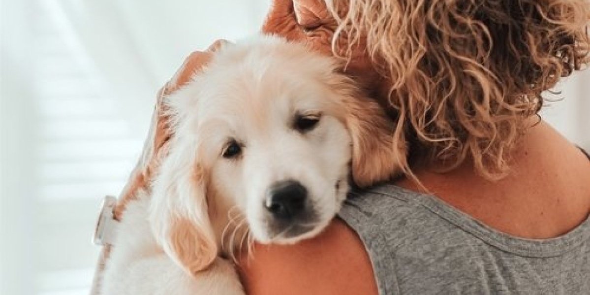 Veterinar upozorio vlasnike pasa! 3 greške koje se često prave, a samo štete vašim ljubimcima (VIDEO)