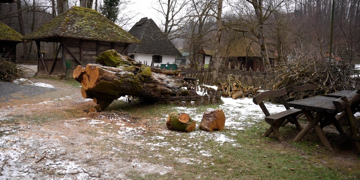 Sneg u Tršiću oborio stoletna stabla! Oštećena vodenica iz prošlog veka