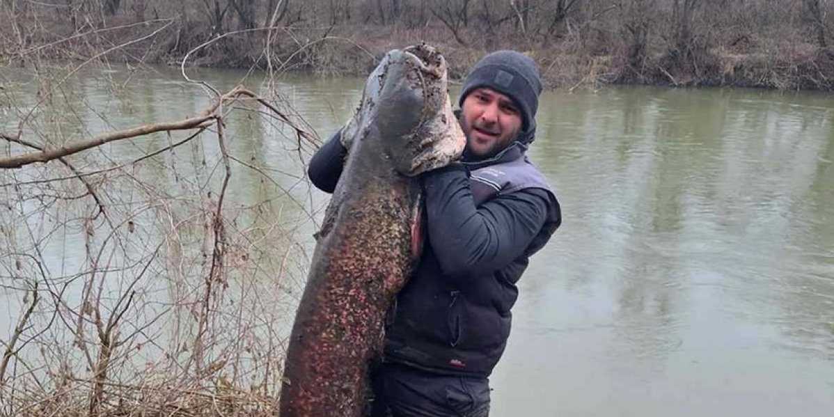 Brkati kapitalac od 30 kilograma umalo polomio štap Vladimiru: Iskustvo koje mu je preneo otac poslužilo za hvatanje ove nemani (FOTO)