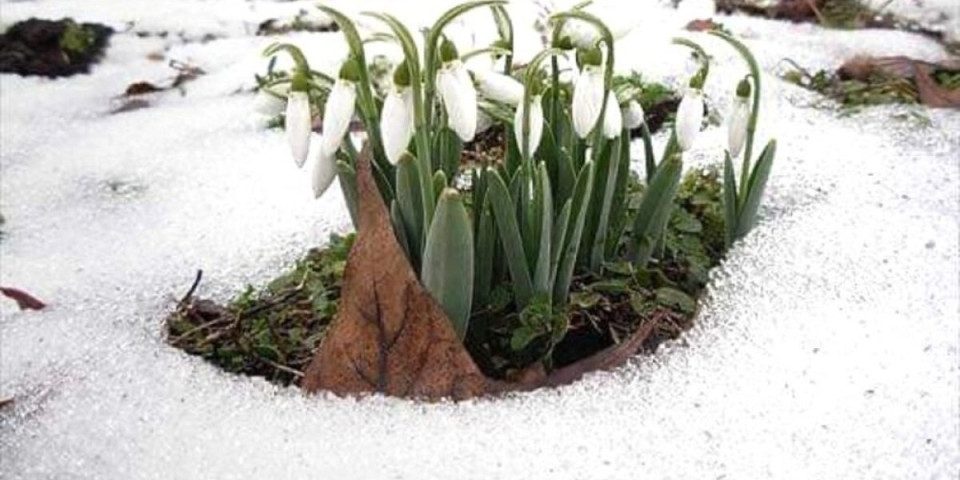 Smena zime i proleća, a onda totalni preokret: Evo kakvo nas vreme čeka narednih 7 dana