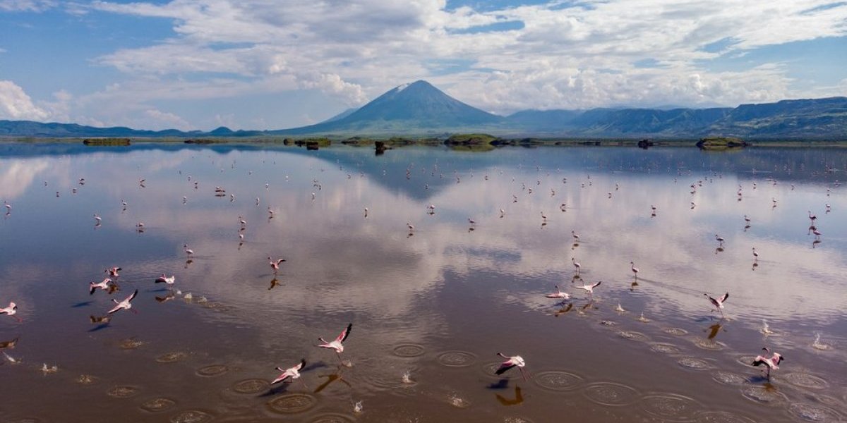 Ovo je najlepše i najsmrtonosnije jezero na svetu! Životinje u njega upadnu žive, a izađu okamenjene (FOTO)