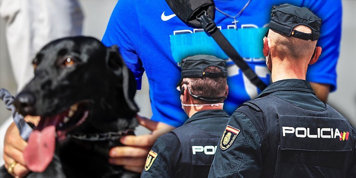 Prevara veka u Španiji! Policija uhapsila šest osoba zbog prodaje nepostojećih pasa!