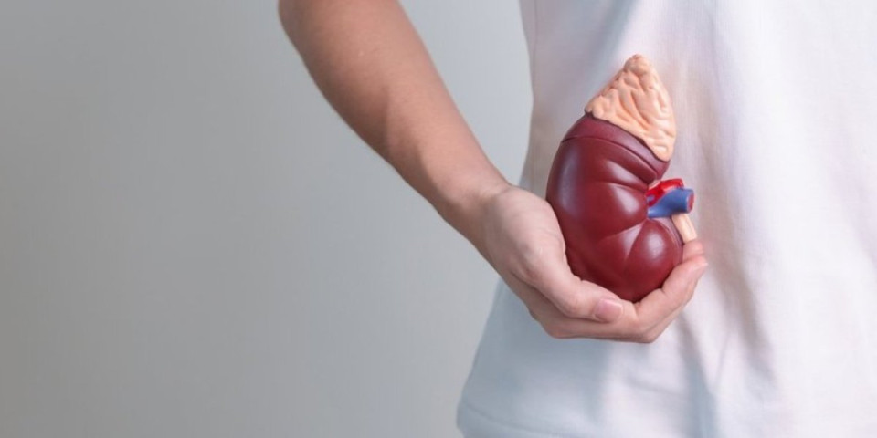 Heroji u tišini: Šesta transplantacija u Tiršovoj donela novi život mladiću (18)