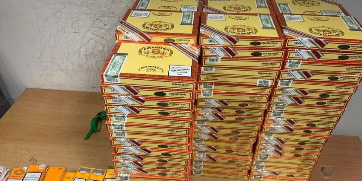 Zaplenjeni tompusi  vredni malo bogatstvo