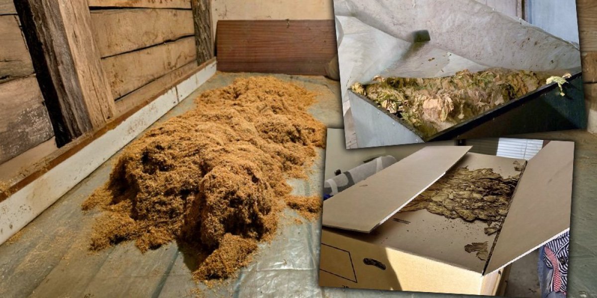 Neverovatna zaplena! Oduzeto dvanaest tona nelegalne robe!