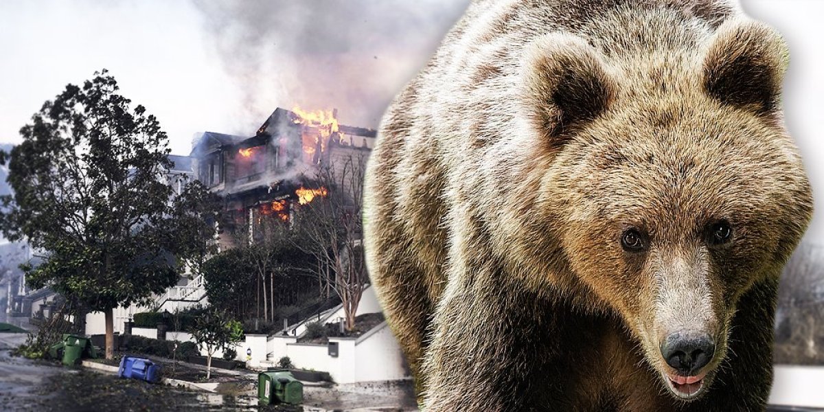 (VIDEO) Vratio se nakon požara i zatekao šok prizor! Nema nameru da se iseli...