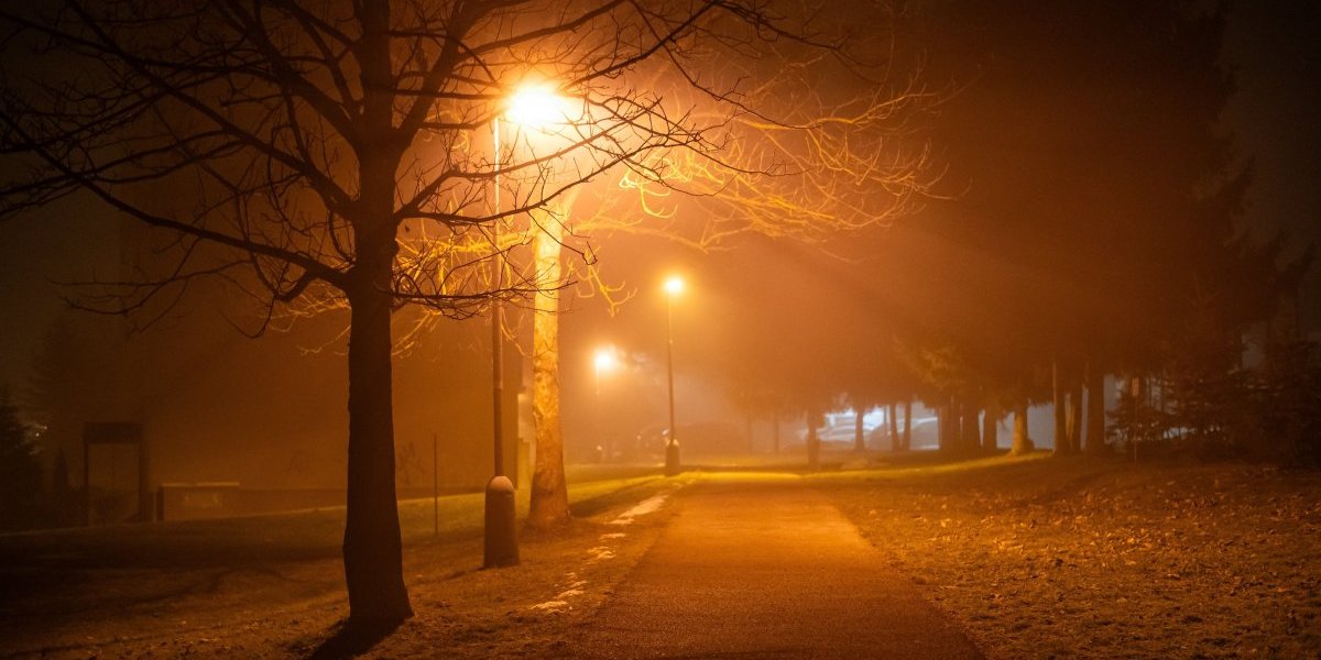 Zbog ulične rasvete odlaze milioni života: Preti nam katastrofa