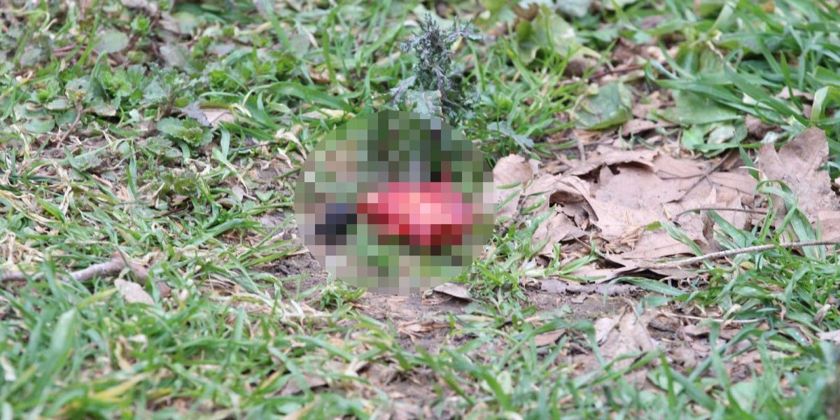 Delovi tela muškarca koji se ubio