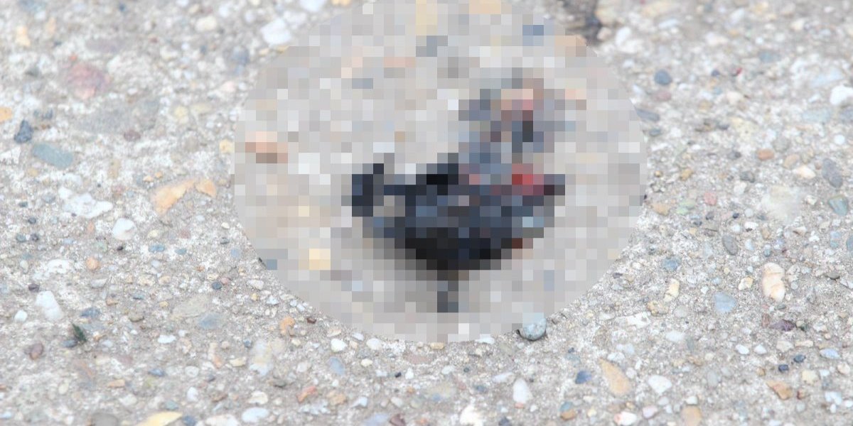 Delovi tela muškarca