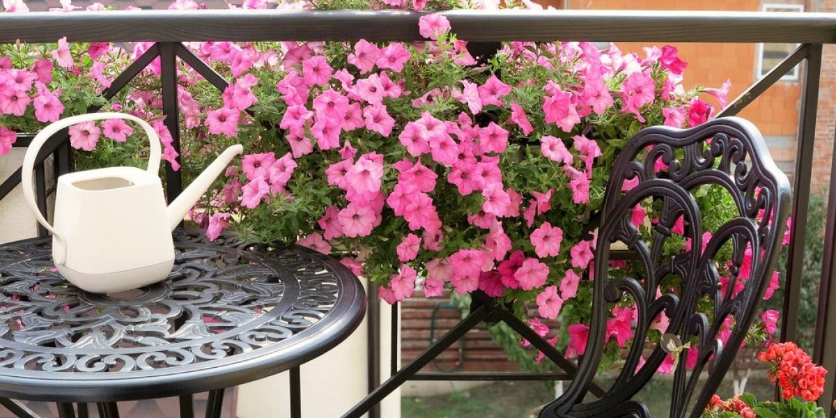 Balkonsko cveće koje ne traži mnogo nege - Preživljavaju čak i najgore uslove (FOTO)