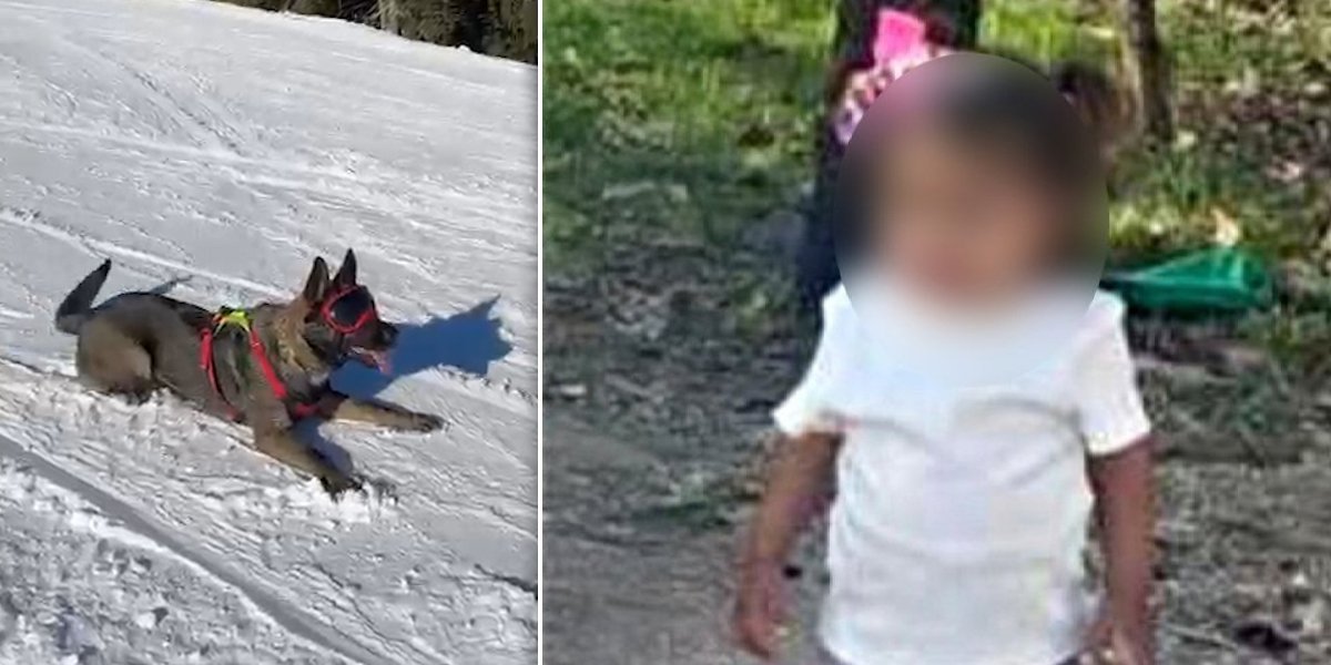 ON JU JE PRONAŠAO! Svi detalji srećnog kraja potrage za malom Dunjom! (VIDEO)