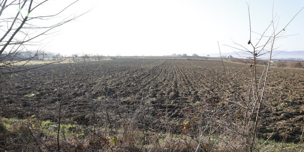 Njiva pored kuće Markovića
