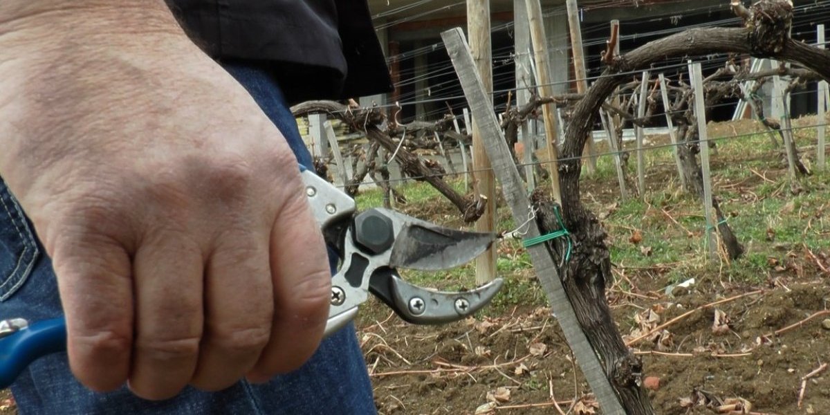 Makaze najvažniji alat