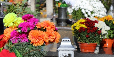 Sutra se obeležavaju Miholjske zadušnice, a pored sveće, žita i vina, na groblje je običaj da se ponese i cveće. I, to hrizanteme.