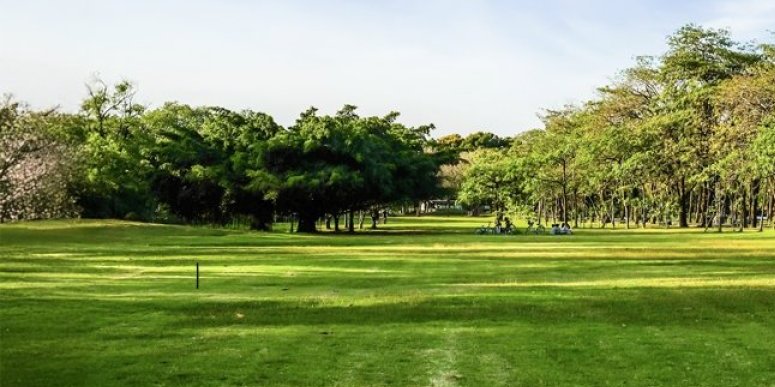 Dve parcele po bagatela ceni! Srbin prodaje imanje za smešne pare: Idealno za beg od buke i gužve