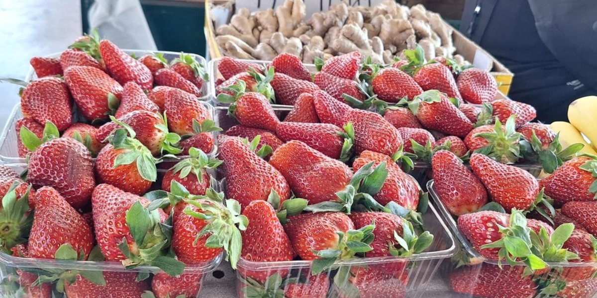 Presele im jagode! Kad vide cenu, i kupci pocrvene!