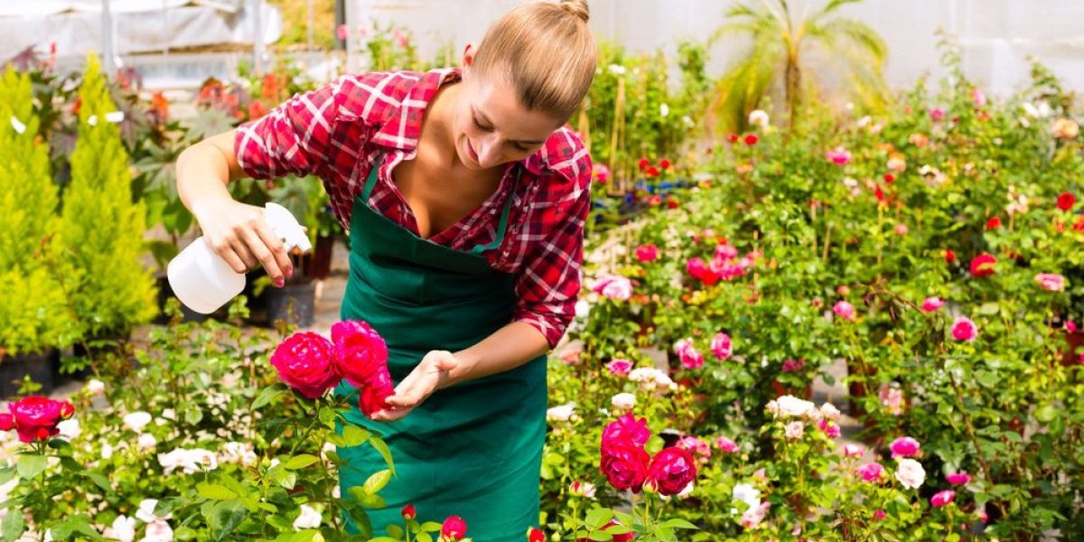 Evo kada je idealan trenutak da iznesete biljke napolje! Ako to sad učinite, propašće