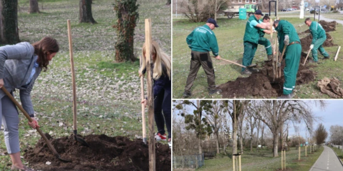 Sunčani kej postaće "zeleni"! Novi Sad dobija još jednu oazu