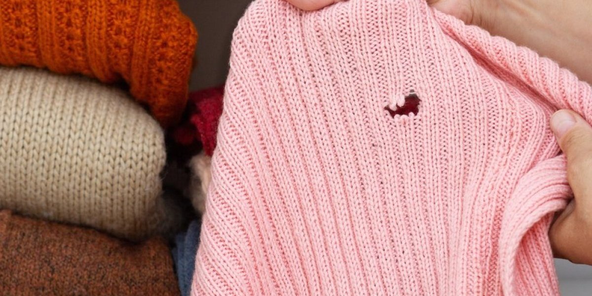 Rešite se štetočina koje uništavaju odeću! Uz ove trikove nikada više nećete imati moljce u ormanu