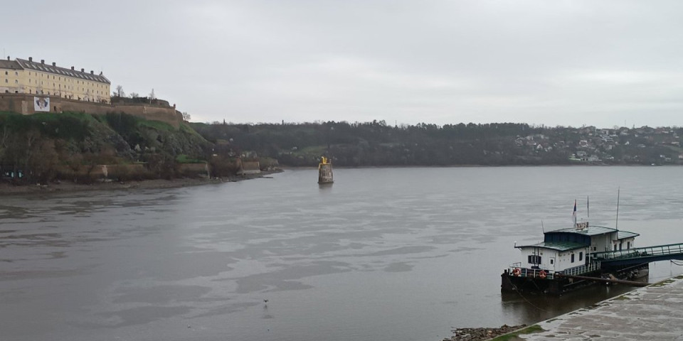 Izvađen mutant iz Dunava: Glava totalno deformisana - Niko ne zna o čemu je reč (FOTO)