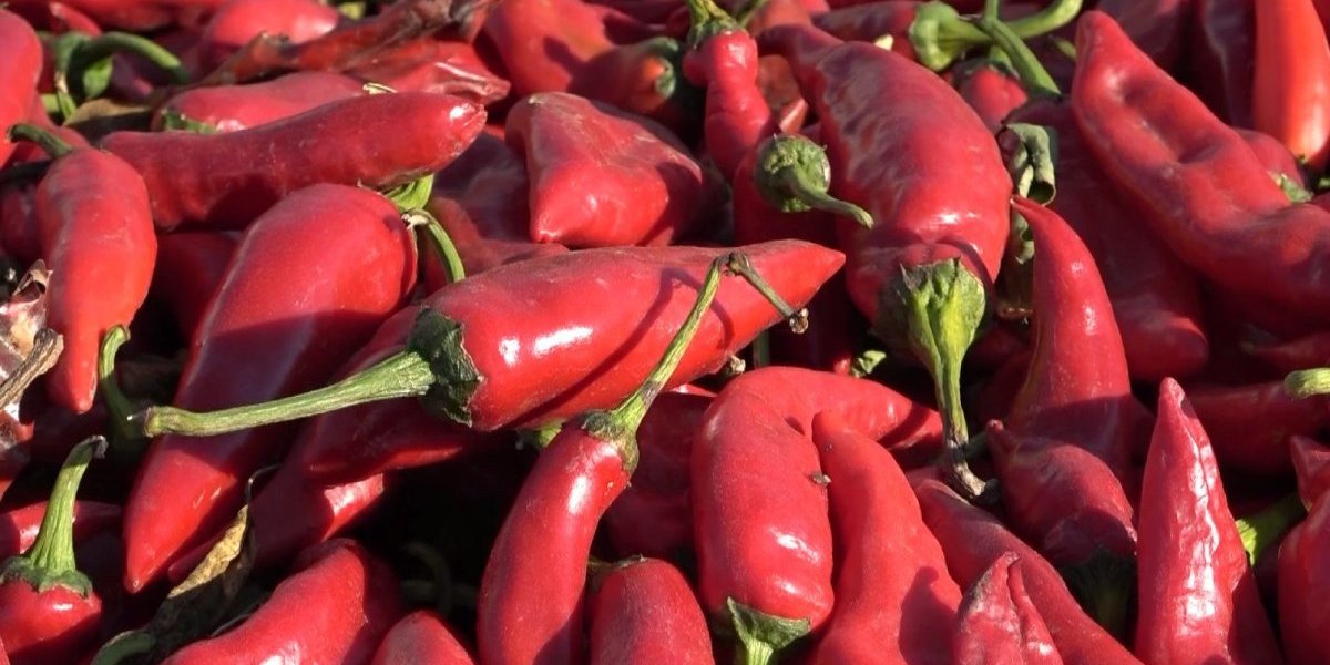 Crvena paprika hitno povučena iz prodaje: Sadrži otrov - Evo gde se prodaje