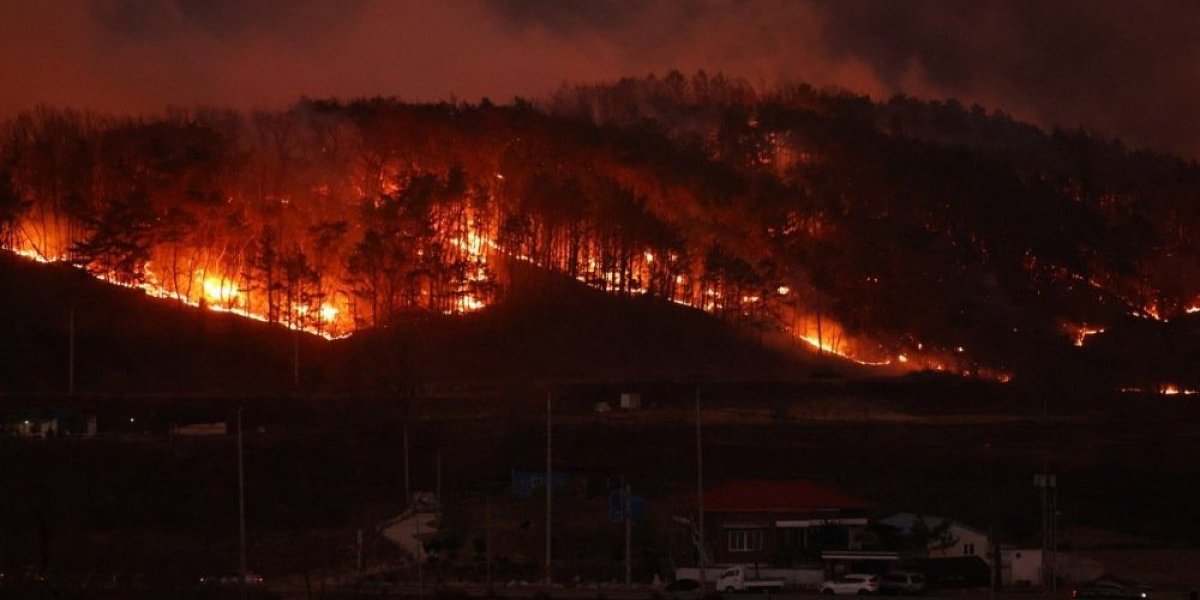 Nacionalna katastrofa! Gore hramovi stari 1.000 godina, besne najgori požari u istoriji - desetine mrtvih! (FOTO/VIDEO)