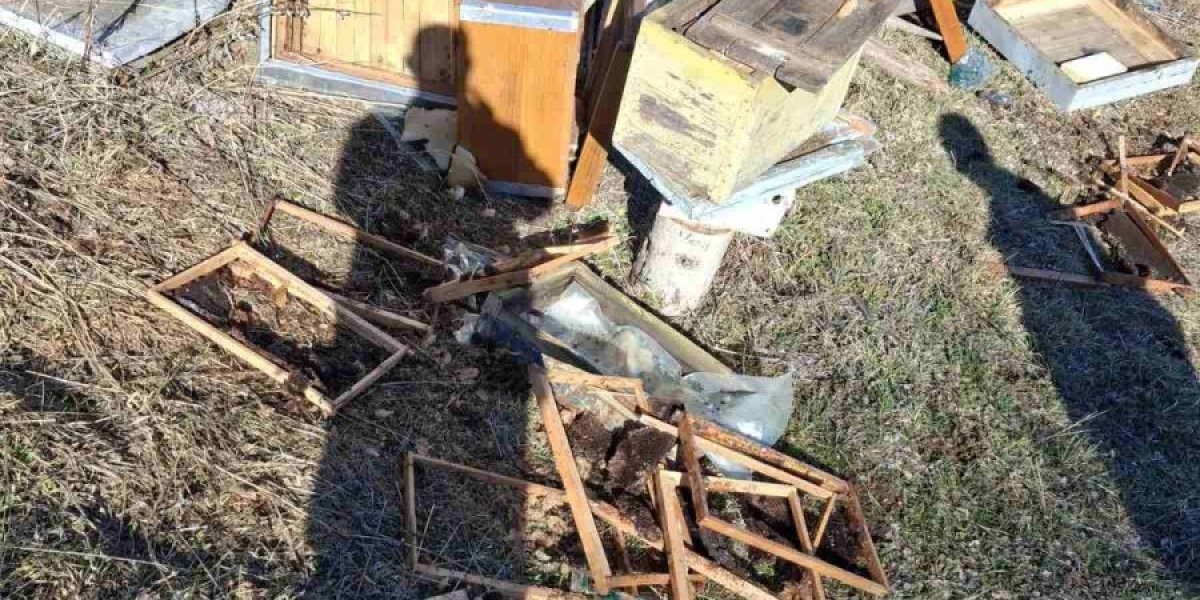 Baš je bio gladan! Zver napravila lom na Vlasini (FOTO)