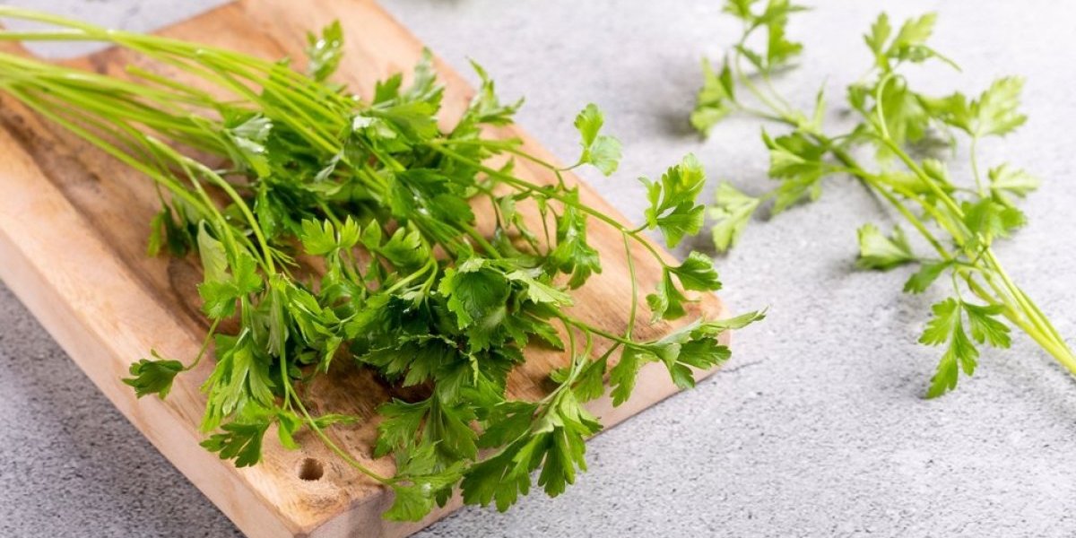 Genijalan trik iskusnih domaćica! Evo kako da vam peršun ostane svež u frižideru mesec dana