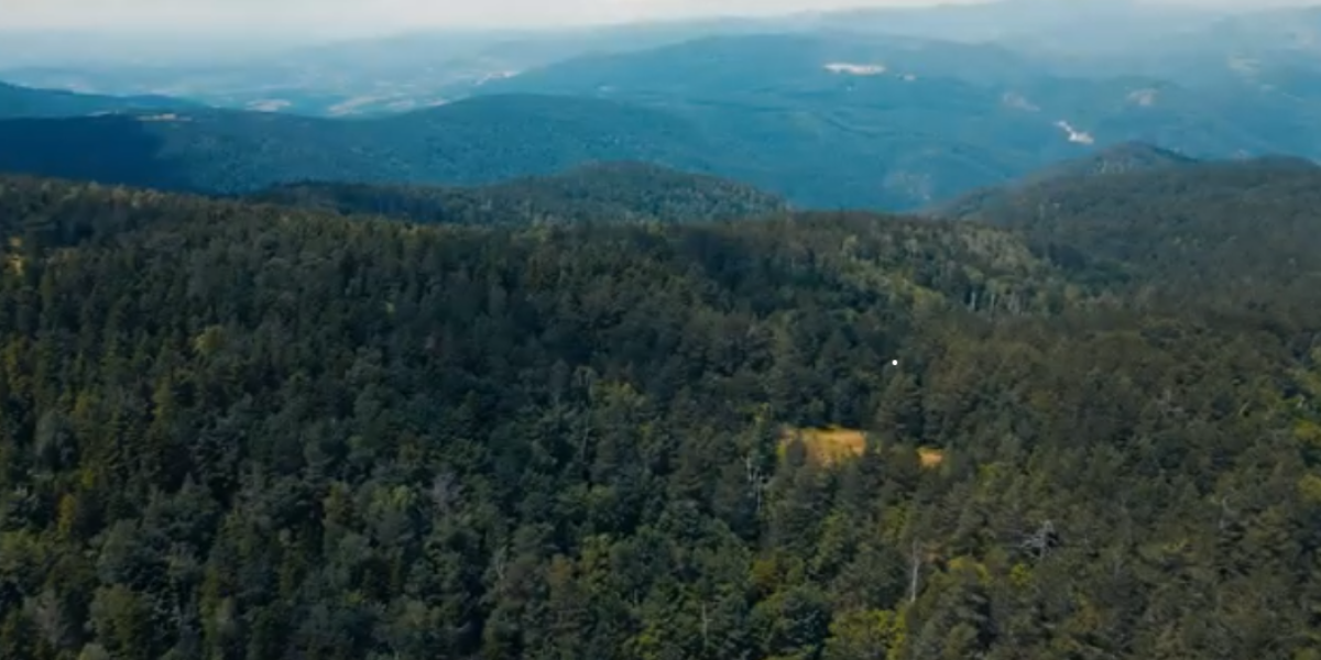 Planina na "D" u Srbiji? Ovde mnogi greše!