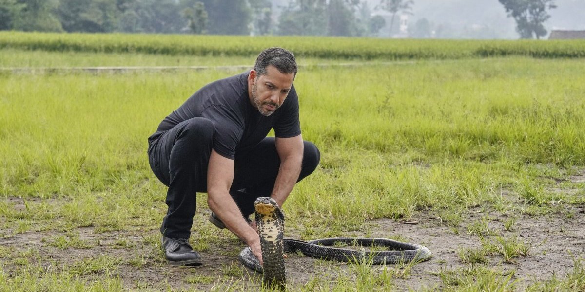 Da se naježiš! Nove avanture Dejvida Blejna