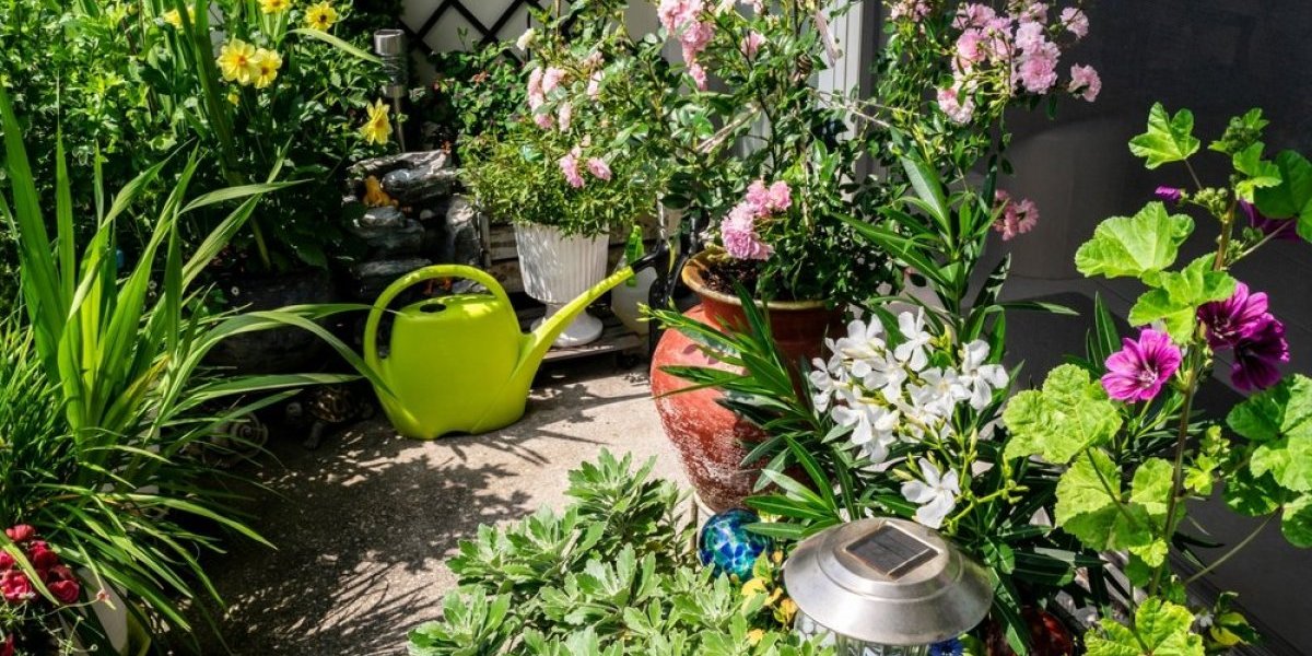 Ove biljke će vam uništiti baštu - Zadaće vam glavobolju, nateraće vas da se pokajete što ste ih posadili (FOTO)