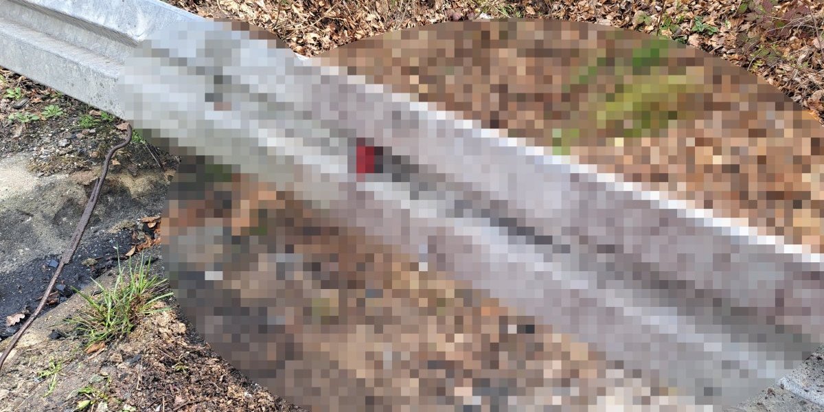 Krv na zaštitnoj ogradi